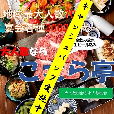 鮮魚からがっつりお肉迄を小皿でご提供♪女子会から宴会貸切までご利用下さい♪