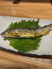 天然鮎の塩焼き