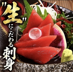 生本まぐろ刺