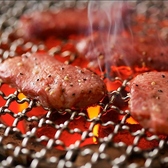 焼肉トラジ トレーニングセンター店の詳細