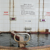 【蒲田温泉】蒲田でもトップクラスの濃さを誇る「黒湯」で有名です。しびれるような熱湯とともに、お楽しみください♪お風呂の後は食堂で一杯いかがでしょうか?