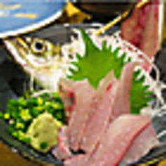【活魚】各種