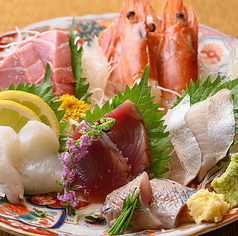 日本酒とサカナChintaraの特集写真