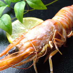 三代目本家 金鮨の特集写真