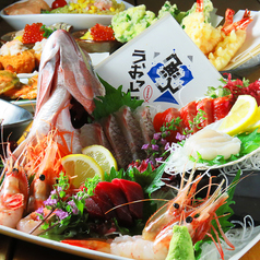 うおっと 魚人 大通店のコース写真