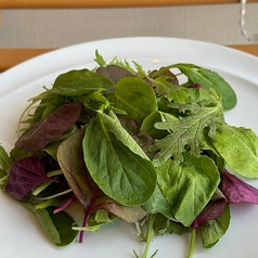 お肉だけでなく、野菜にもこだわり有り