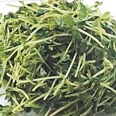 豆苗のさっぱり炒め