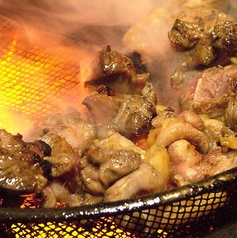 京町 焼き鳥 ヤキトリ 鶏乃介の特集写真