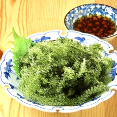 プチプチ食感がやみつき！「沖縄直送海ぶどう」の写真