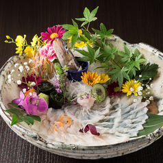 どげん海の特集写真