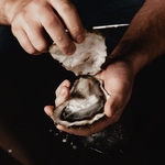 【話題】毎日仕入れる食材や、郷土料理など食材にこだわった創作和食。