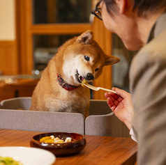 Restaurant 諏訪坂のおすすめポイント1