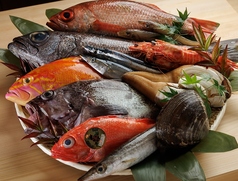 北海道から届く時季ごとの旬ものを、握り・逸品に昇華