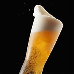 京都五天五 道頓堀のコース写真