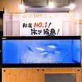 さかな酒場魚星の魚は鮮度抜群！当店自慢の刺身は素材の鮮度が命！本当に旨いお魚を召し上がっていただきたい一心で、全国の各漁場から選りすぐりの魚を仕入れています。手間を惜しまず新鮮さにこだわった鮮魚をどうぞお召し上がりください！その他にも新鮮な魚介を使用したお料理を取り揃えております♪