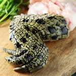 クロコダイル爪付き肉　ジビエ人気