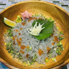 しらす料理の豊洋丸の特集写真