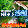七ふく神 東心斎橋店のおすすめポイント1