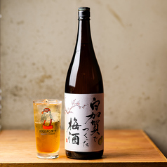 白加賀梅酒サワー