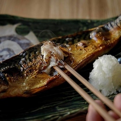 桜山 鮨食人 五と二の特集写真
