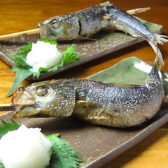 トロ鰯（いわし）【愛媛県産】