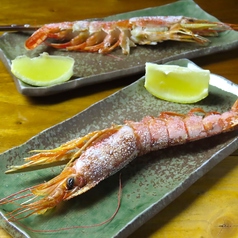 大海老