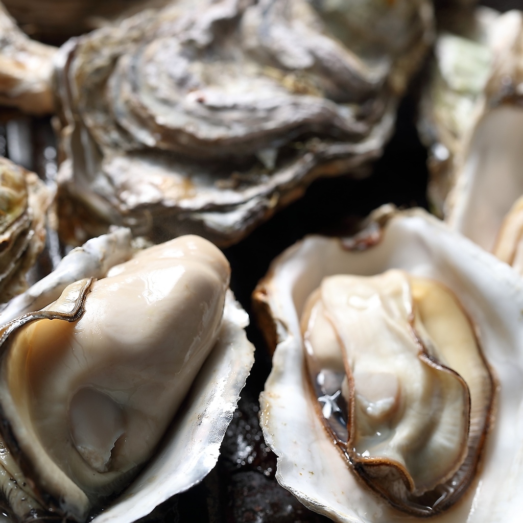 【話題】毎日仕入れる食材や、郷土料理など食材にこだわった創作和食。