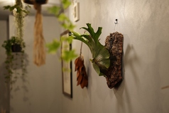 Nature Bistro PINO ナチュールビストロピノの雰囲気3