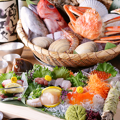 居酒屋ダイニング サクラマチ 刈谷店特集写真1