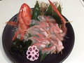 料理メニュー写真 姿盛りのお刺身 アジ 鯛 ホウボウ 金目鯛 等