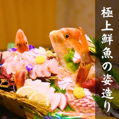 月のうさぎ 静岡の写真