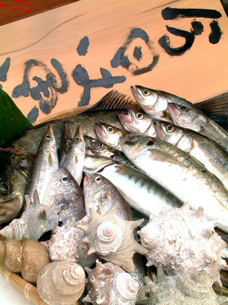 本日大漁！ぴっちぴち獲れたて魚は新鮮なうちにお店に運ばれてひとつひとつ丁寧にさばきます♪