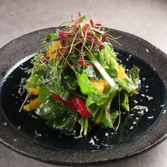 グリーンサラダ