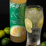 大衆酒場 青島の写真ギャラリー