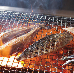 炉端横山 馬喰町店のコース写真