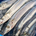 料理メニュー写真&nbsp;新秋刀魚(サンマ)
