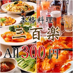 三百楽 藤沢店特集写真1