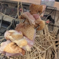 料理メニュー写真&nbsp;親どり炭焼き(タレor塩)