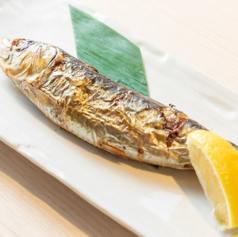 特大とろイワシ塩焼き　串