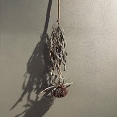 20名様まで貸切をご利用いただけます♪店舗完全貸切なので、プライベート空間でお過ごしいただけます!ご予算に応じてコースもご用意できますのでお気軽にご相談ください☆