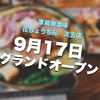 花ちょうちん 天五店