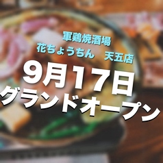 花ちょうちん 天五店