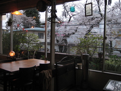 【東京都内】お花見ランチ！店内から桜が見える、おすすめ店を教えて