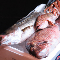 毎日新鮮なお魚を仕入れてお客様へご提供★