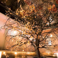 幻想的な非日常空間でおもてなし