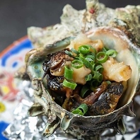 魚介はすべて長浜市場直送で鮮度抜群！