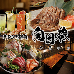 向日葵 藤沢南口店特集写真1