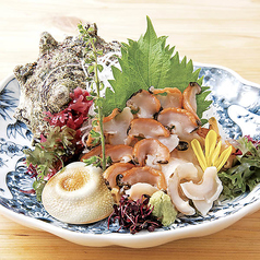 さざえ　刺身またはつぼ焼き　各