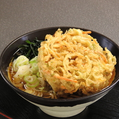 とろろ/肉/かき揚げ(野菜・紅生姜)