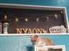 猫カフェ NYAONの写真